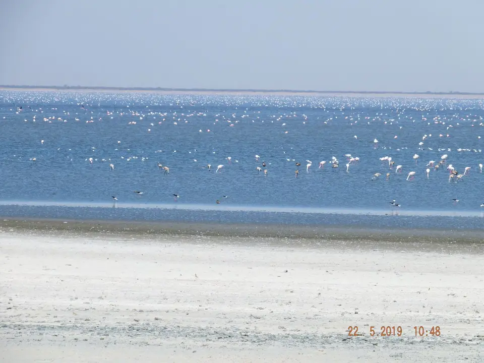 DSCF7886.JPG