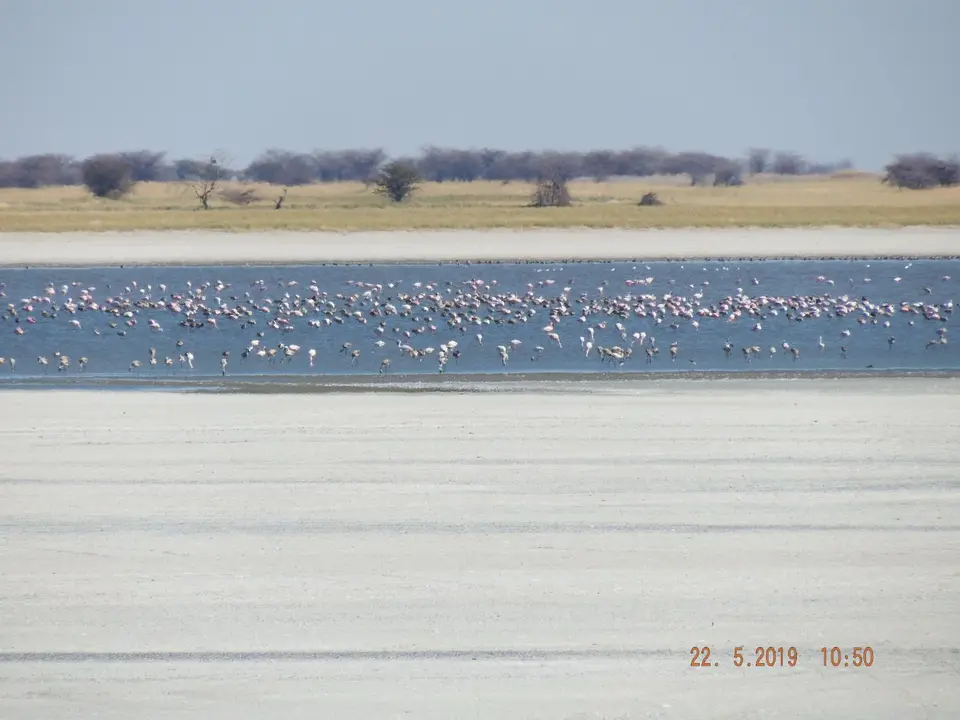 DSCF7889.JPG