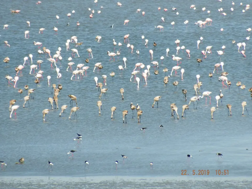 DSCF7890.JPG