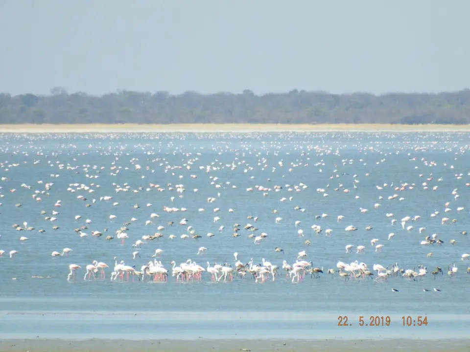DSCF7894.JPG
