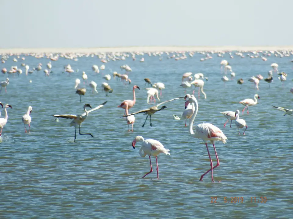 DSCF7914.JPG