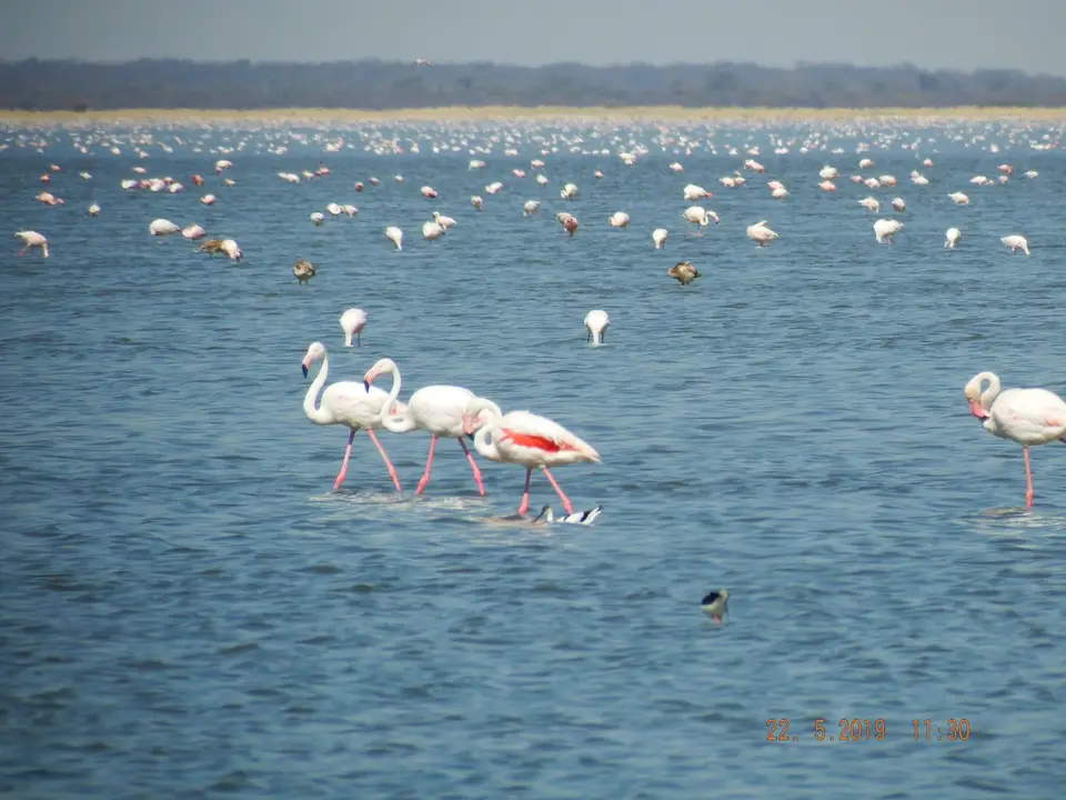 DSCF7917.JPG
