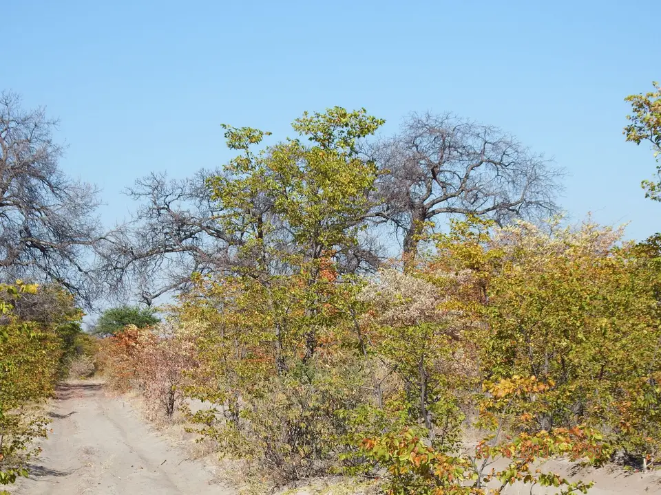 DSCF7974.JPG