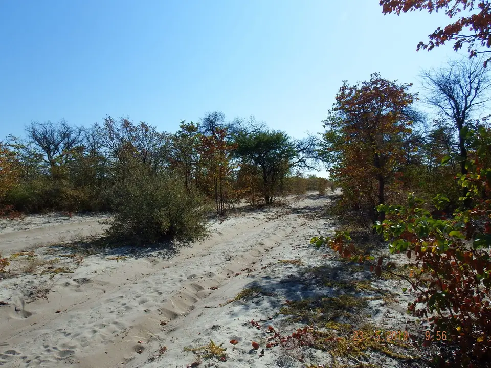 DSCF7977.JPG