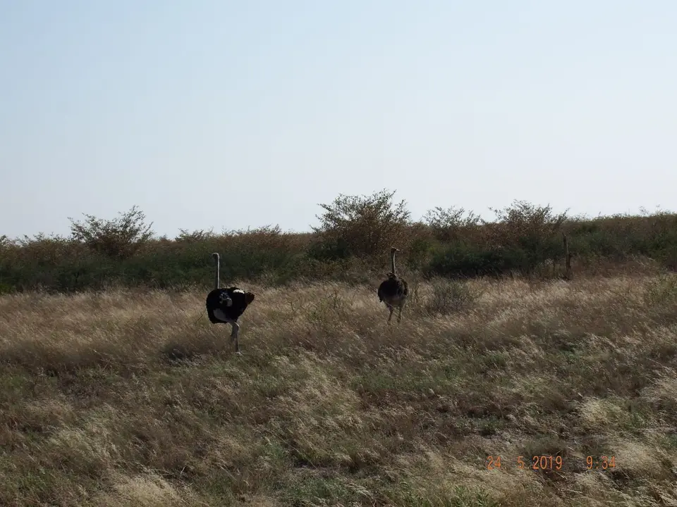 DSCF7986.JPG