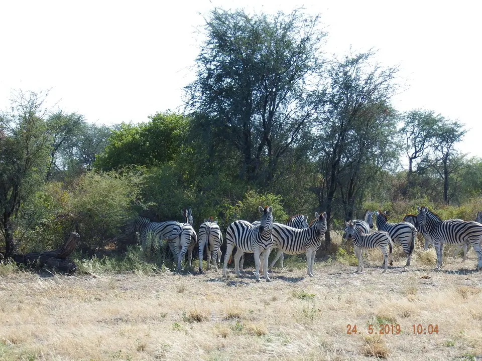 DSCF7996.JPG