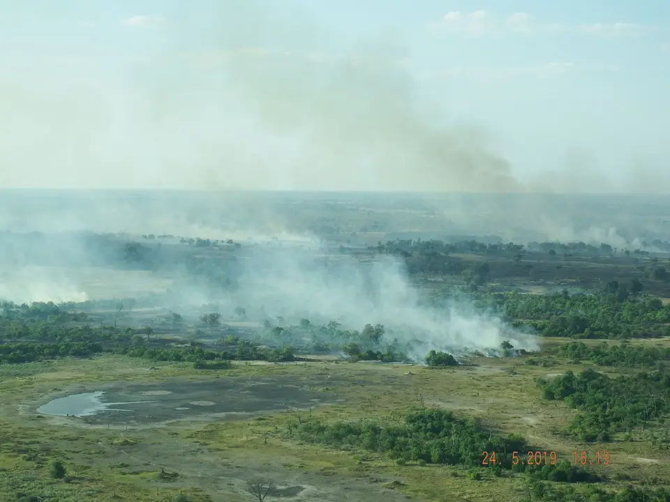 DSCF8025.JPG