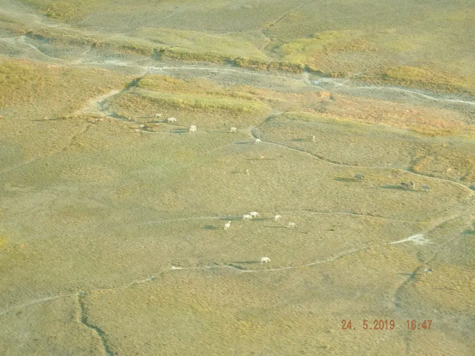 DSCF8095.JPG