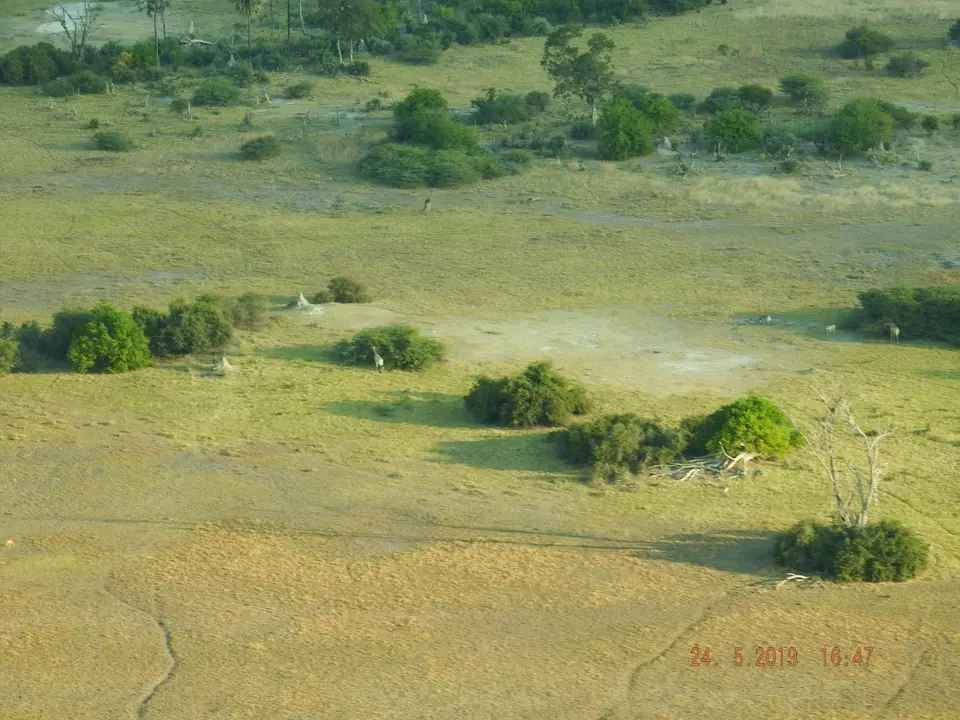 DSCF8098.JPG