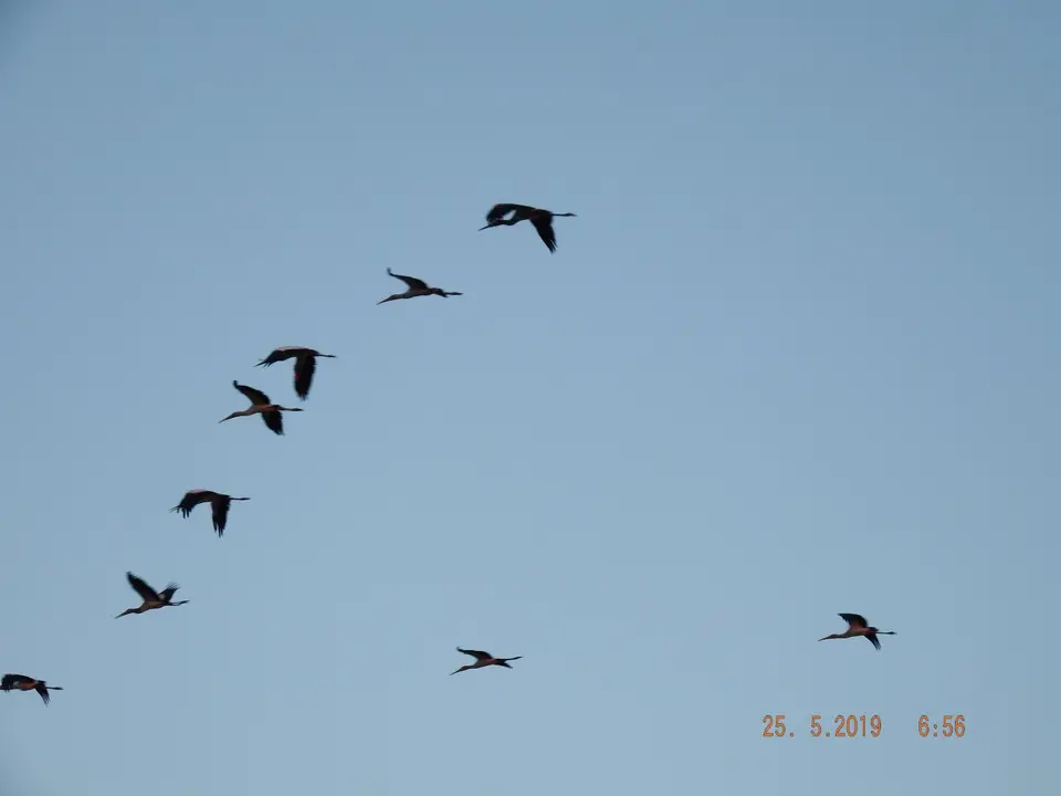 DSCF8154.JPG