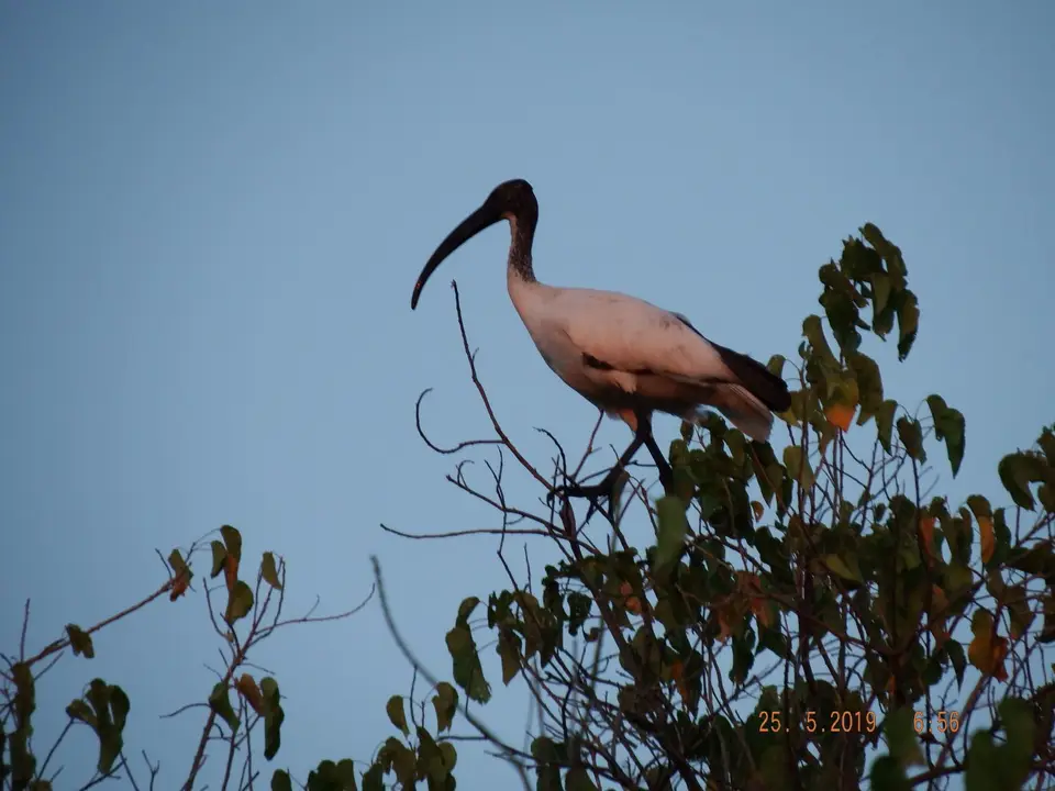 DSCF8156.JPG