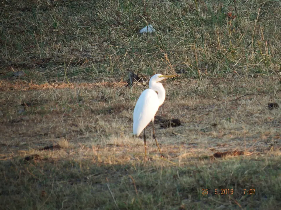 DSCF8162.JPG