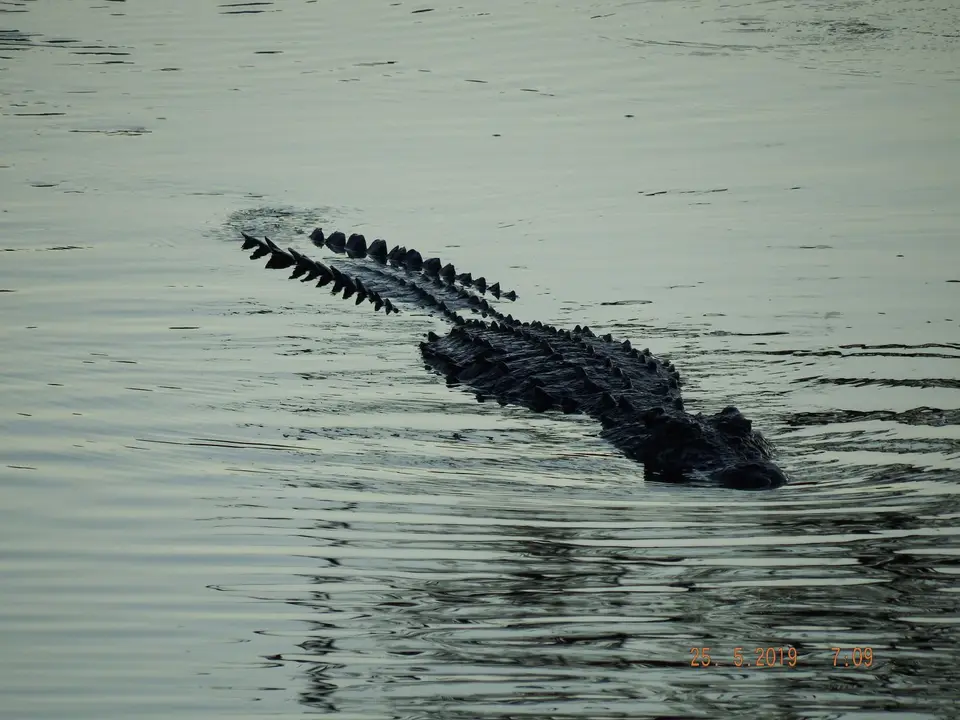 DSCF8168.JPG
