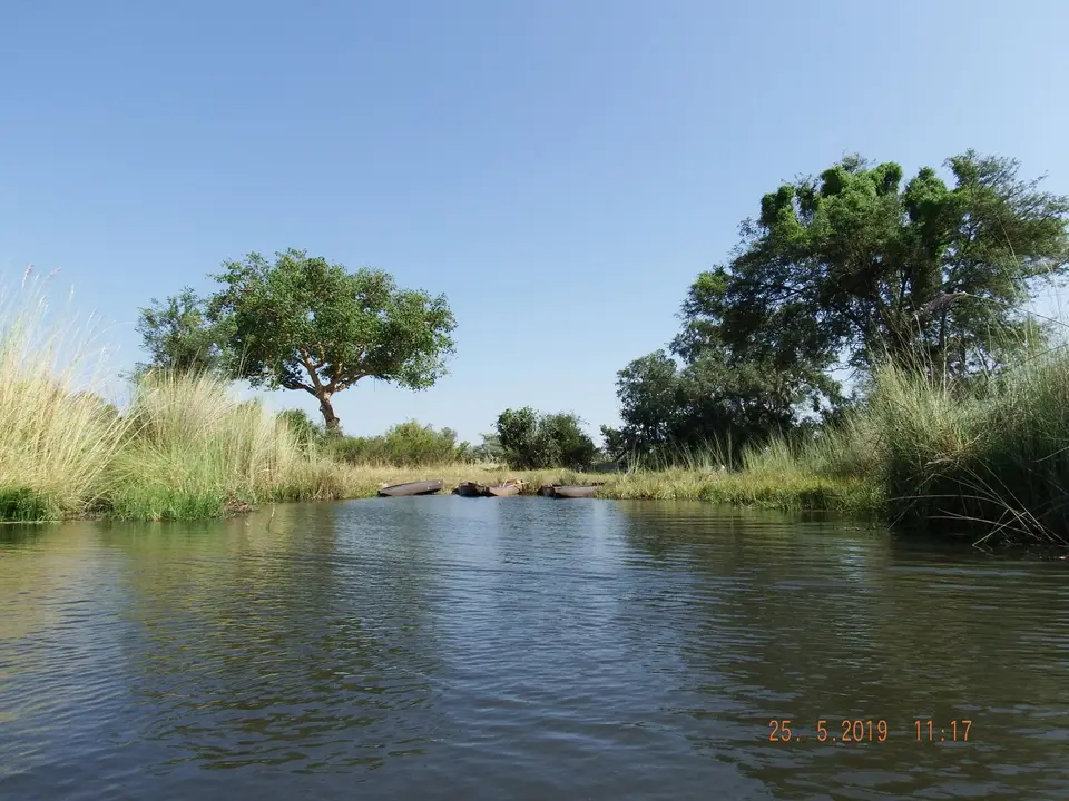 DSCF8208.JPG