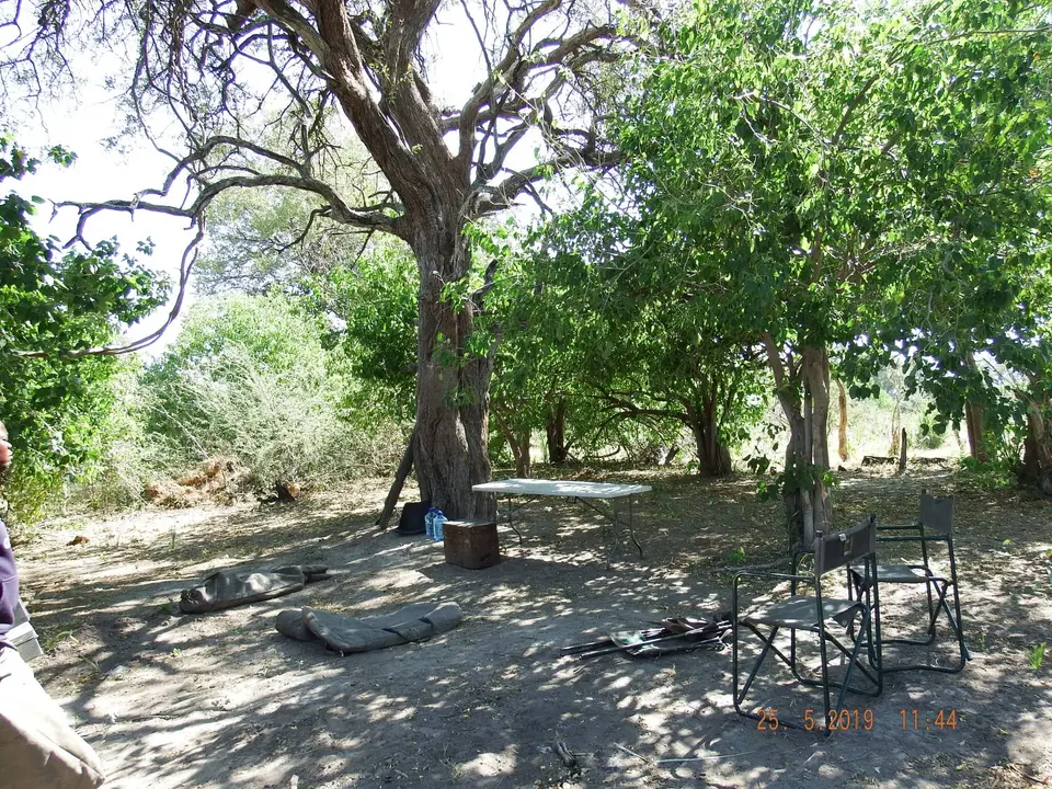 DSCF8216.JPG