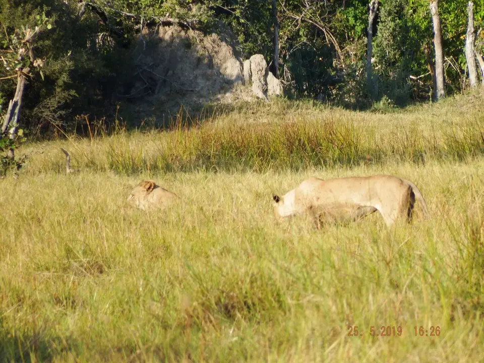 DSCF8237.JPG