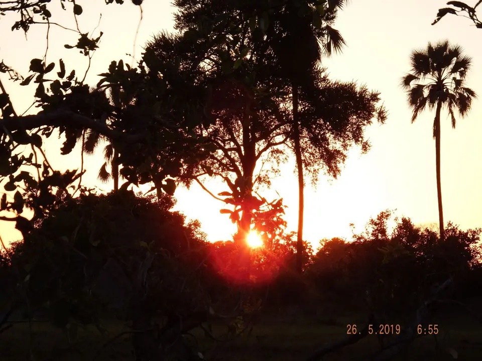 DSCF8281.JPG