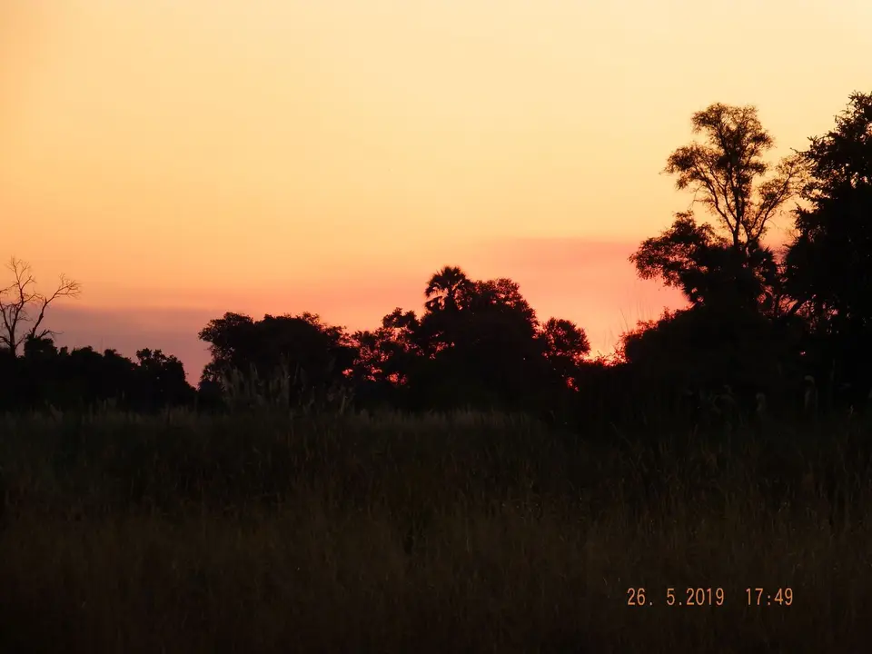 DSCF8442.JPG