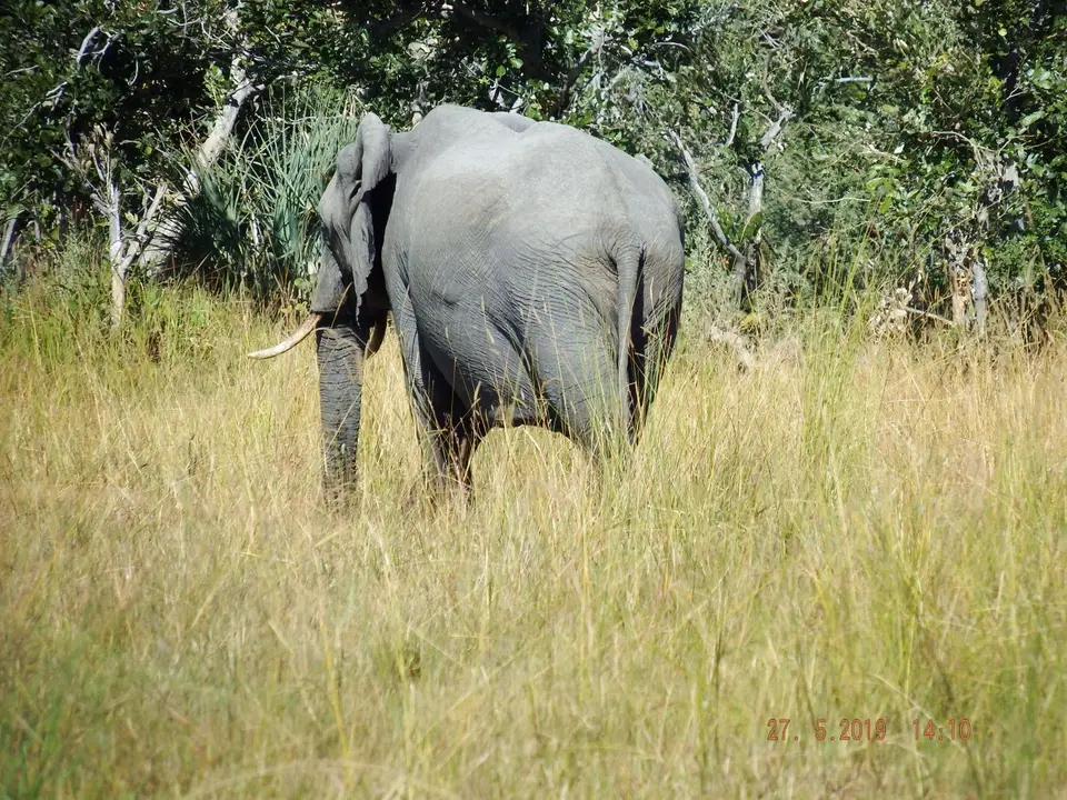 DSCF8507.JPG