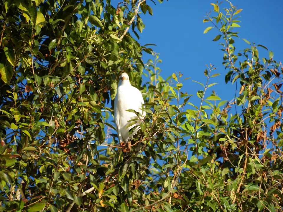 DSCF8557.JPG