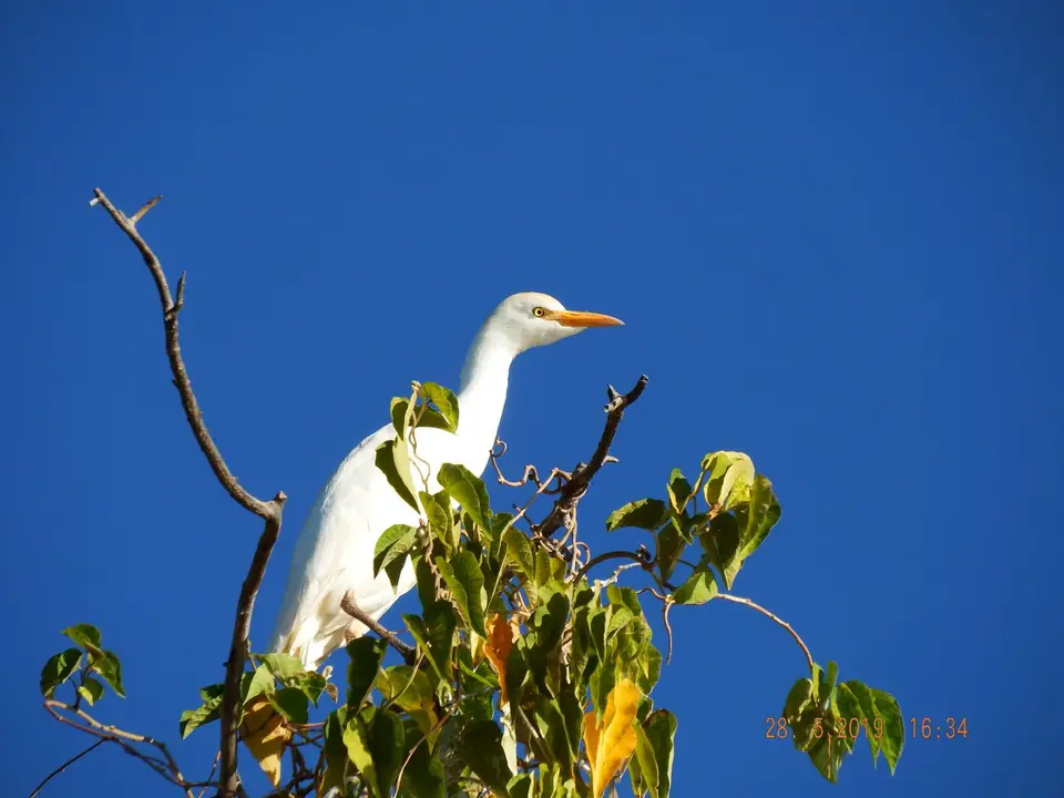 DSCF8559.JPG