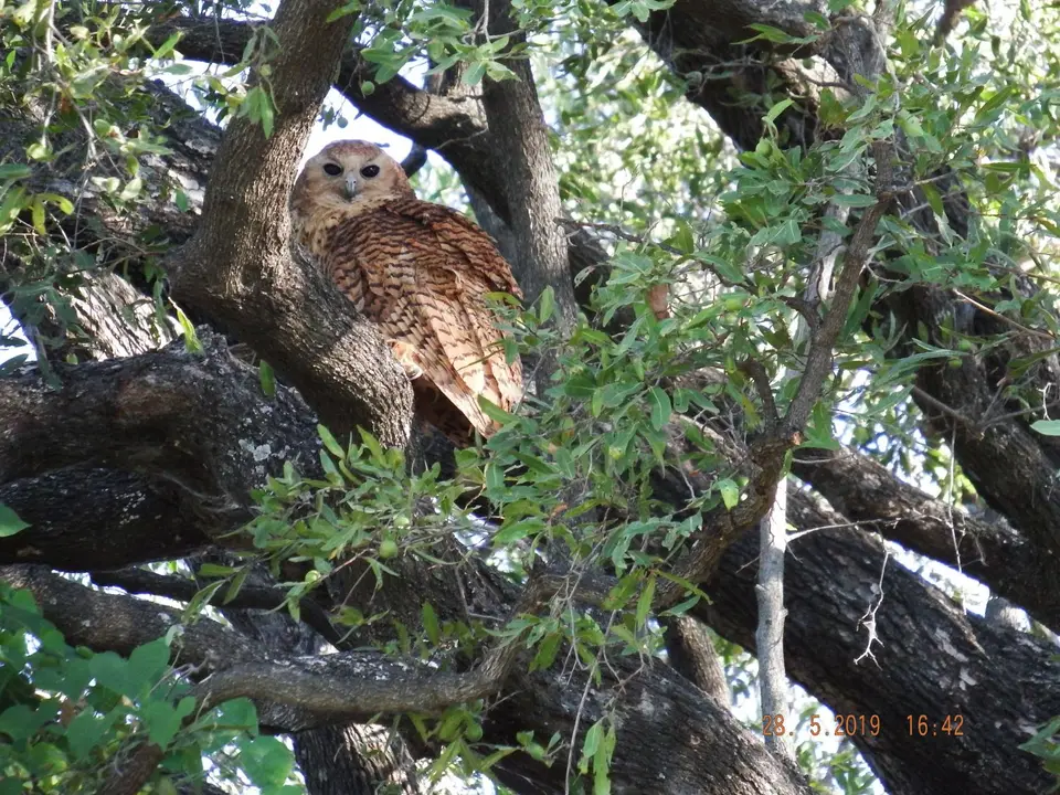 DSCF8565-2.JPG