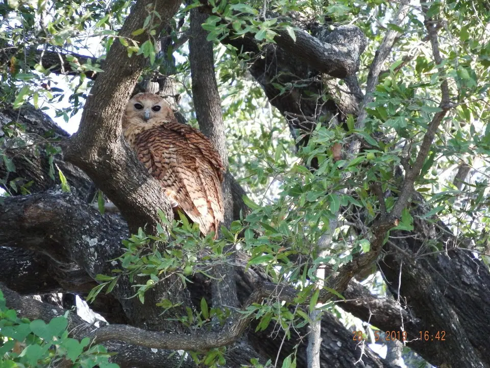 DSCF8566.JPG