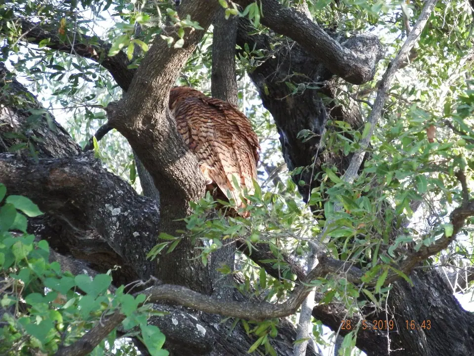 DSCF8567.JPG