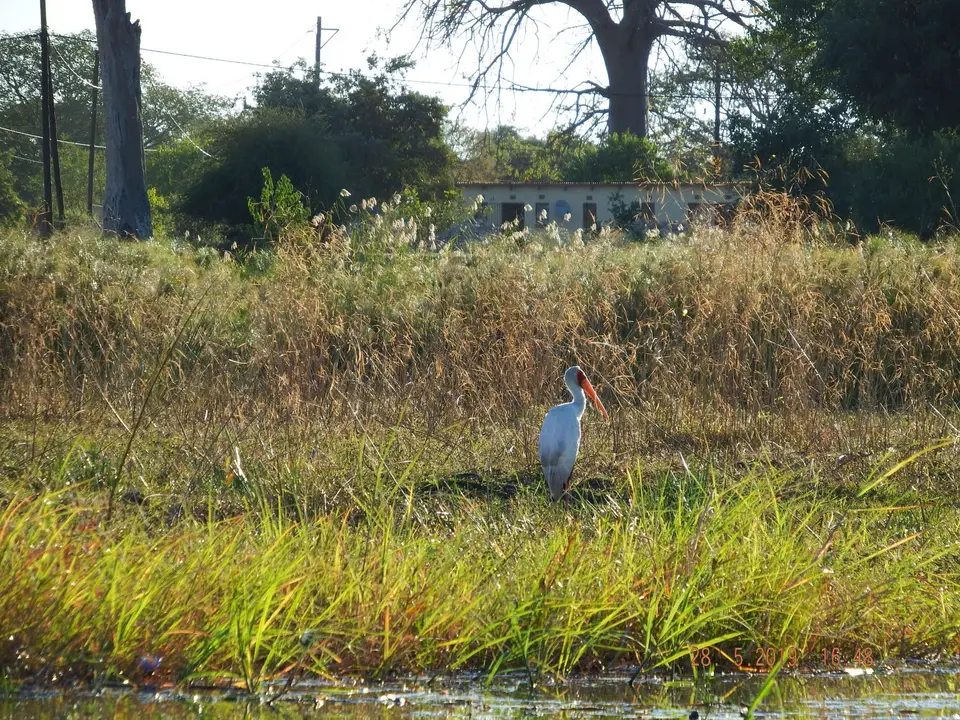 DSCF8570.JPG