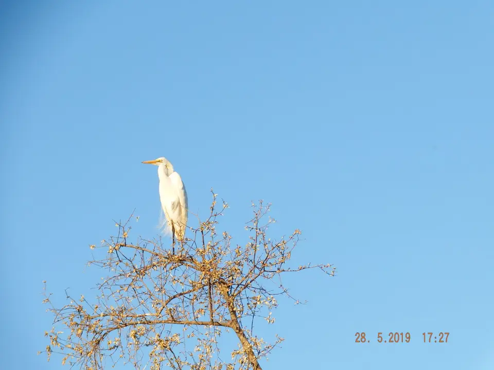DSCF8603.JPG