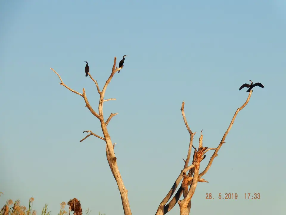 DSCF8608.JPG