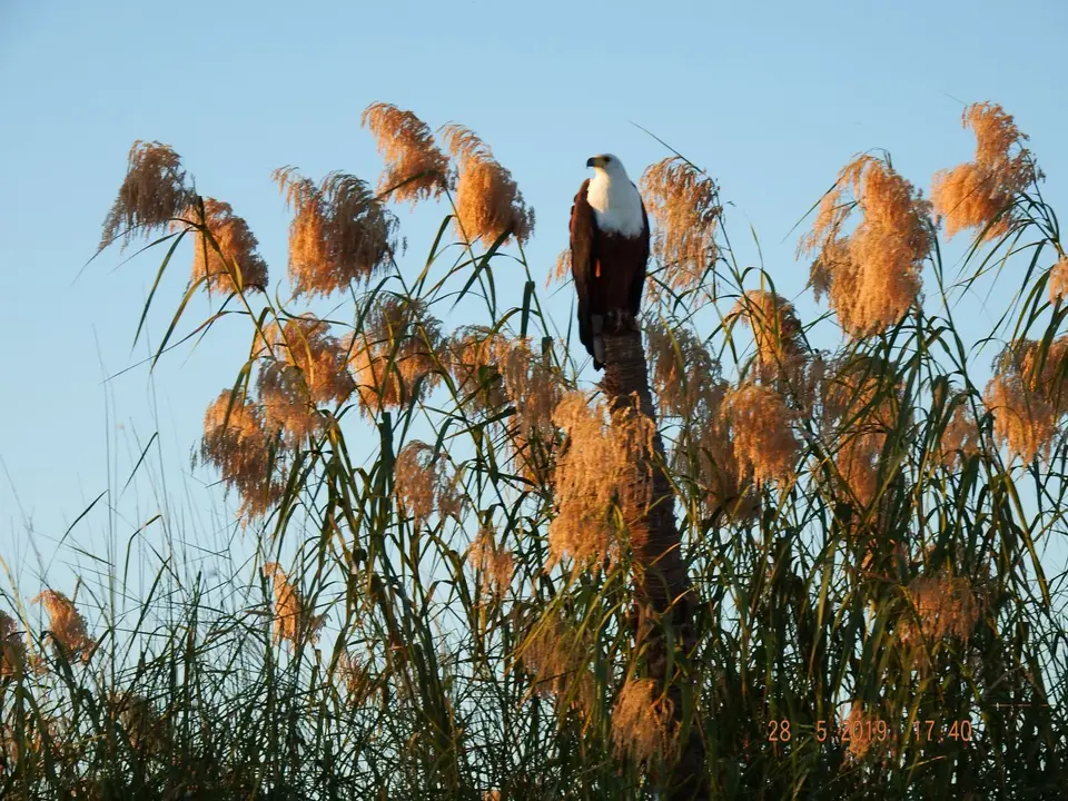 DSCF8618.JPG