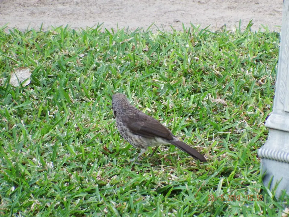 DSCF8666.JPG