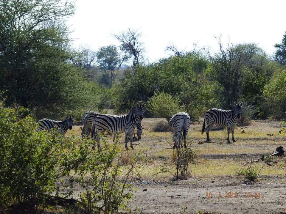 DSCF8745.JPG