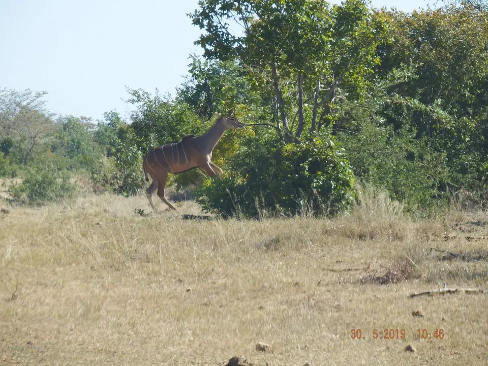 DSCF8747.JPG