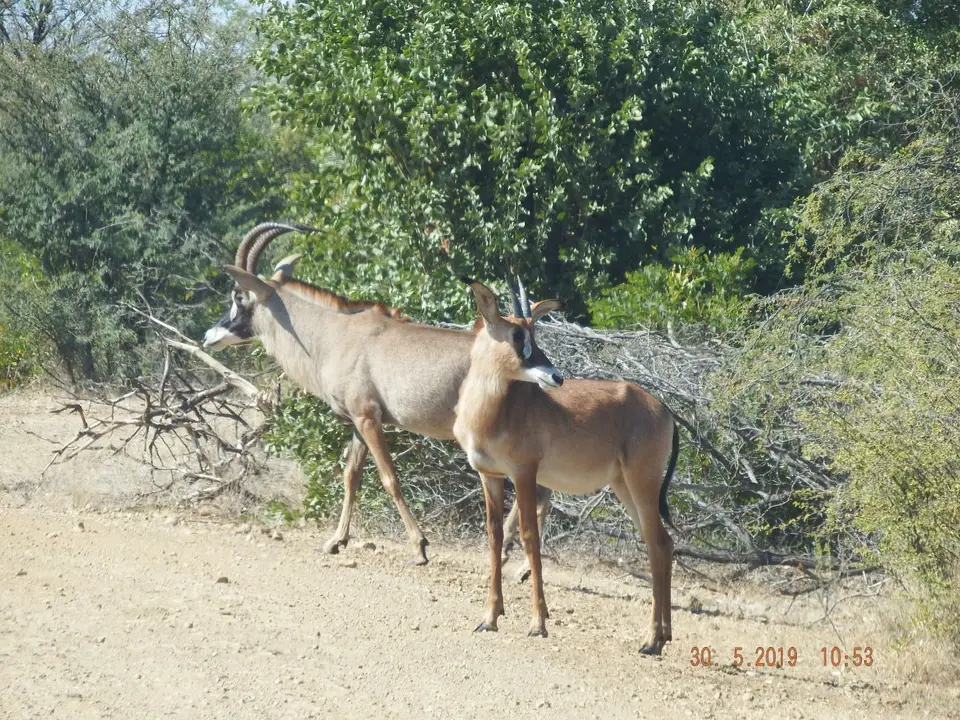 DSCF8751.JPG