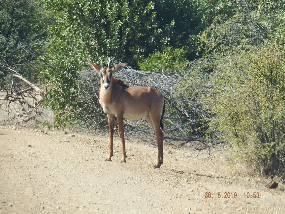 DSCF8752.JPG
