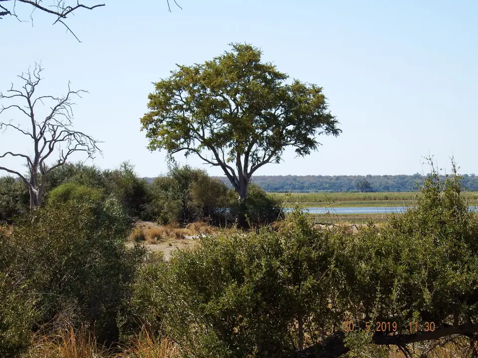 DSCF8764.JPG