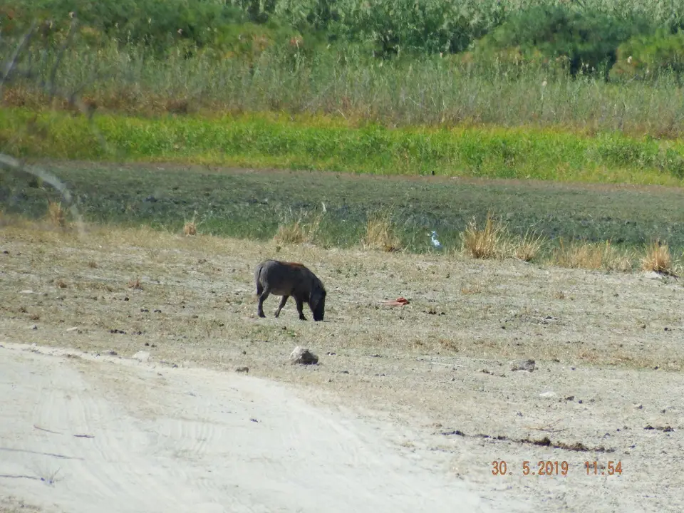 DSCF8794.JPG