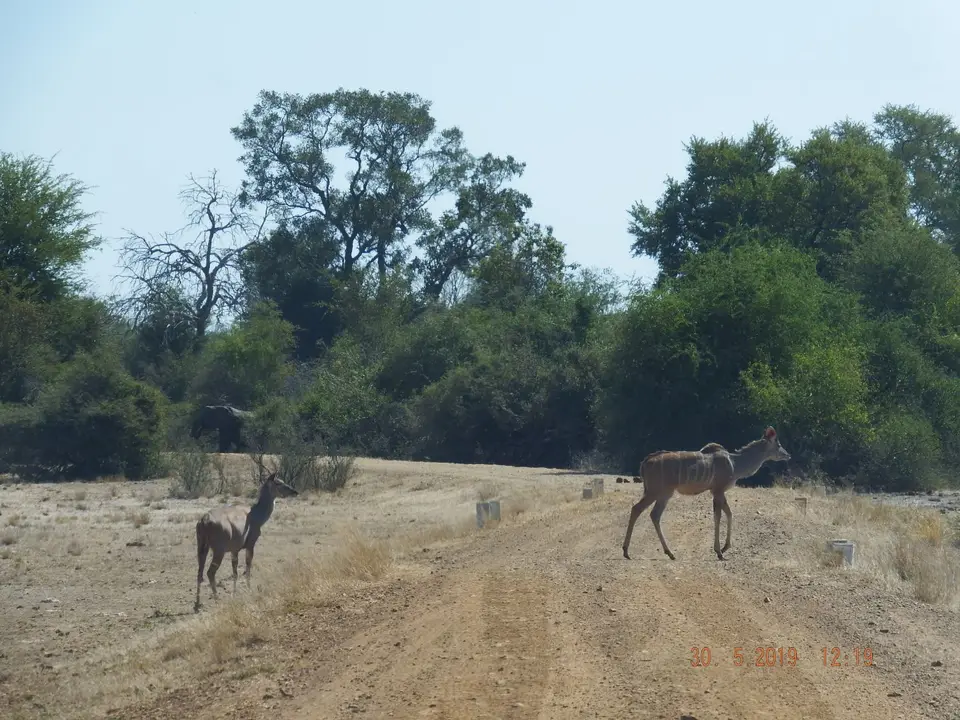 DSCF8809.JPG
