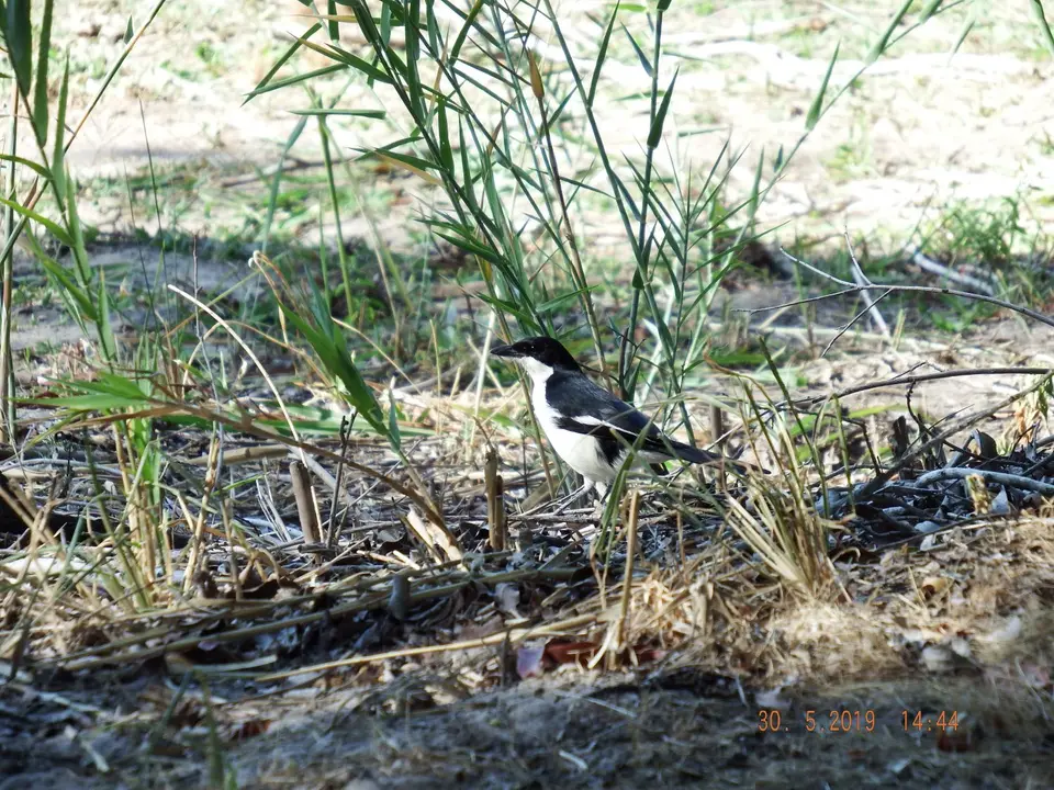 DSCF8844.JPG