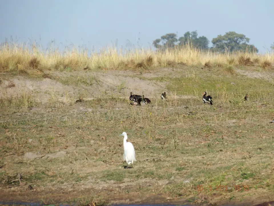DSCF8878.JPG