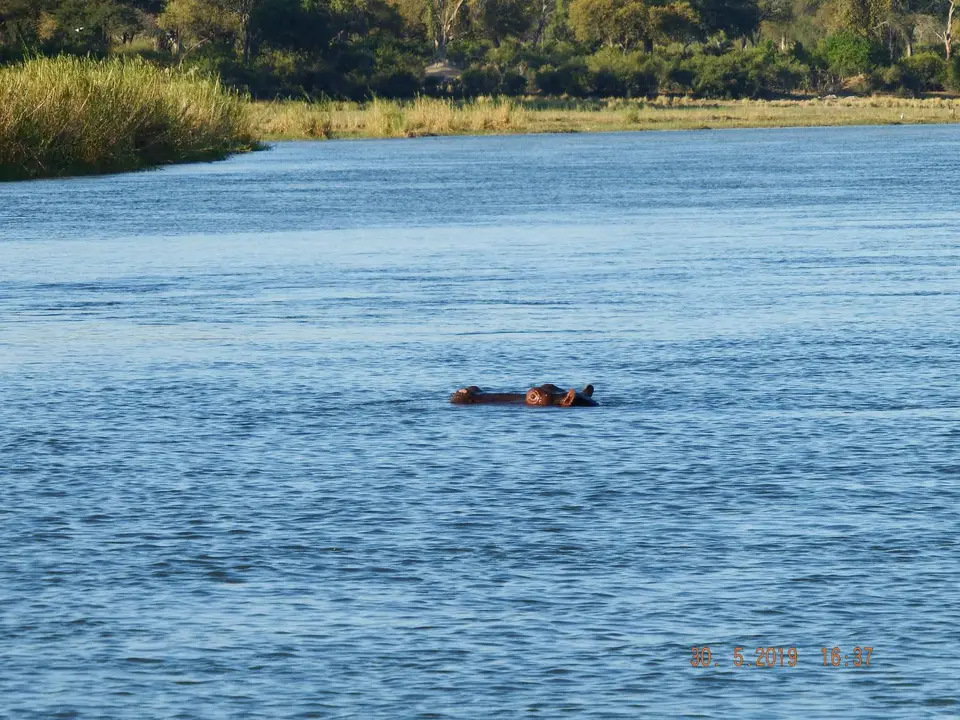 DSCF8900.JPG