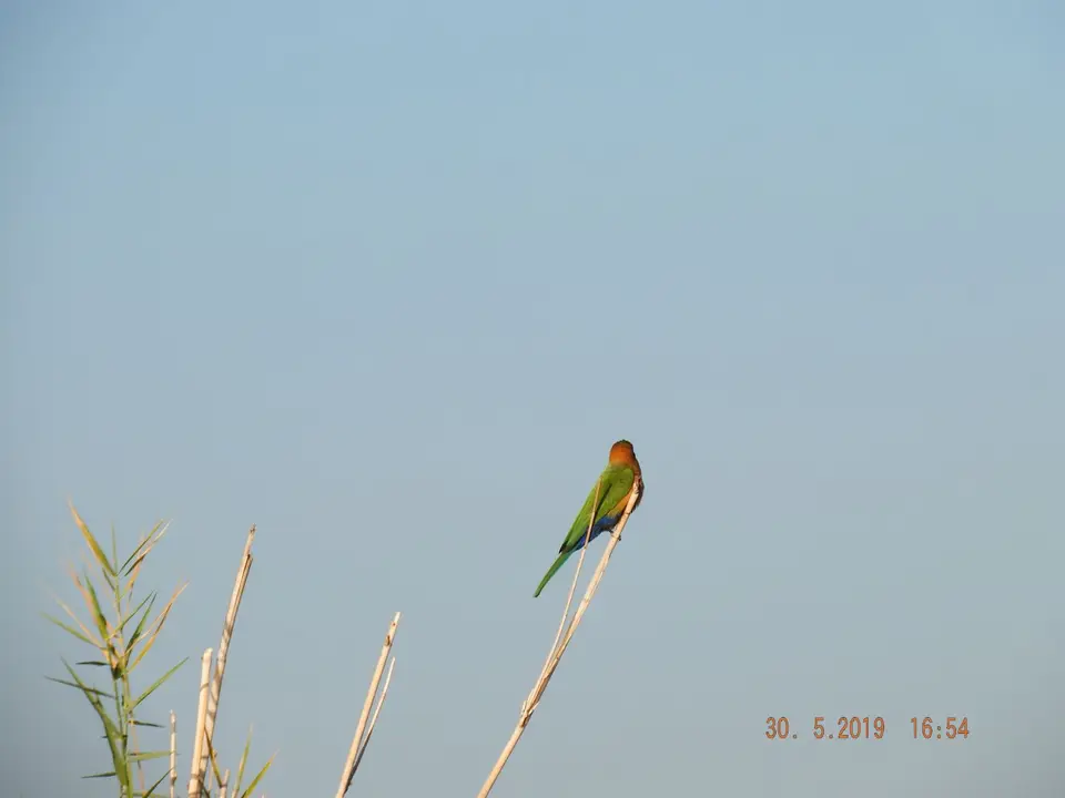 DSCF8918.JPG