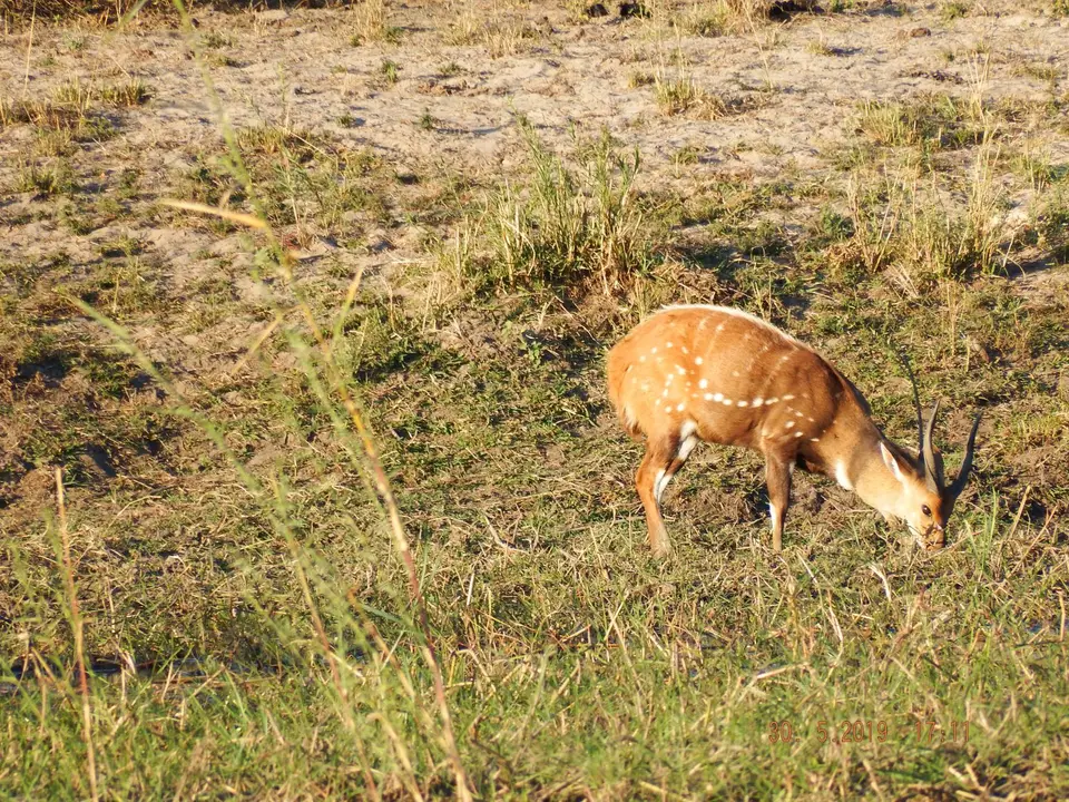 DSCF8948.JPG