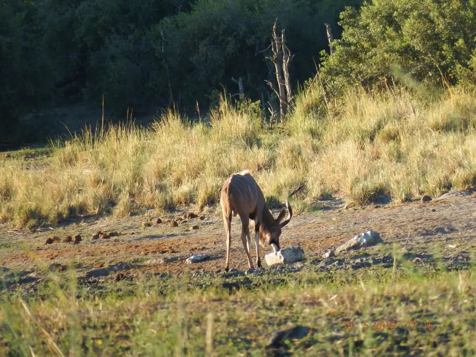 DSCF8951.JPG