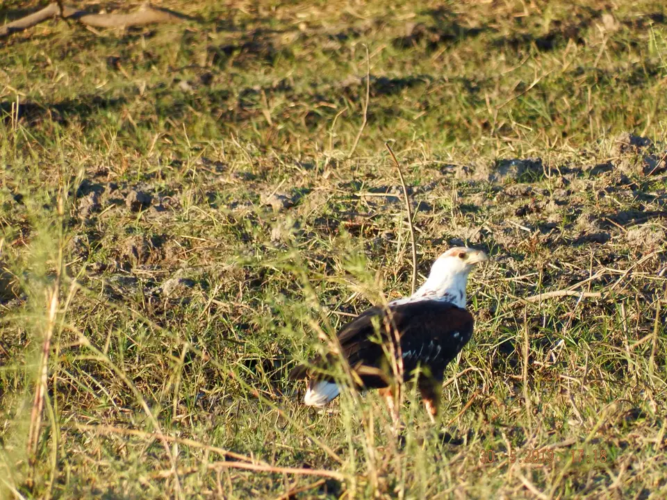 DSCF8954.JPG