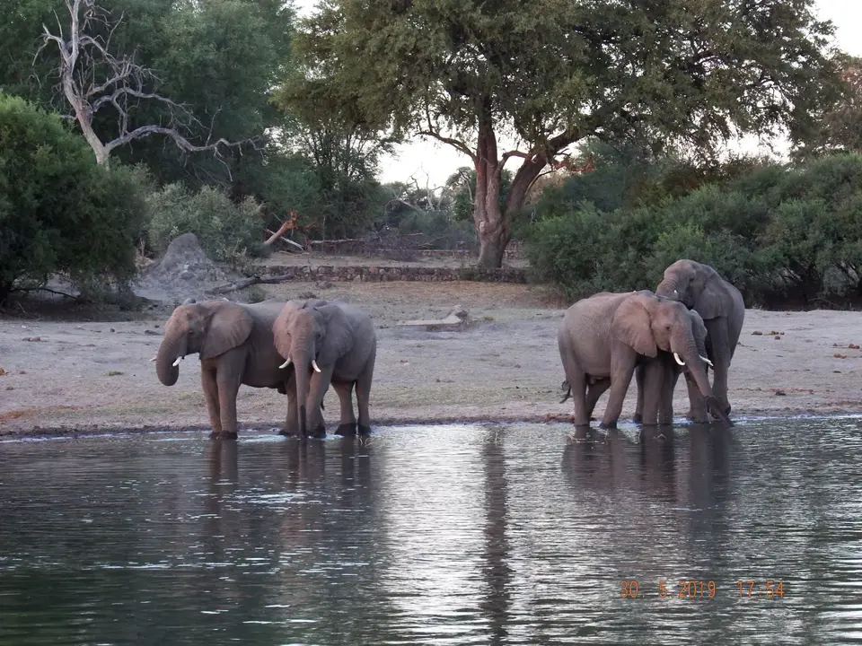 DSCF9045.JPG