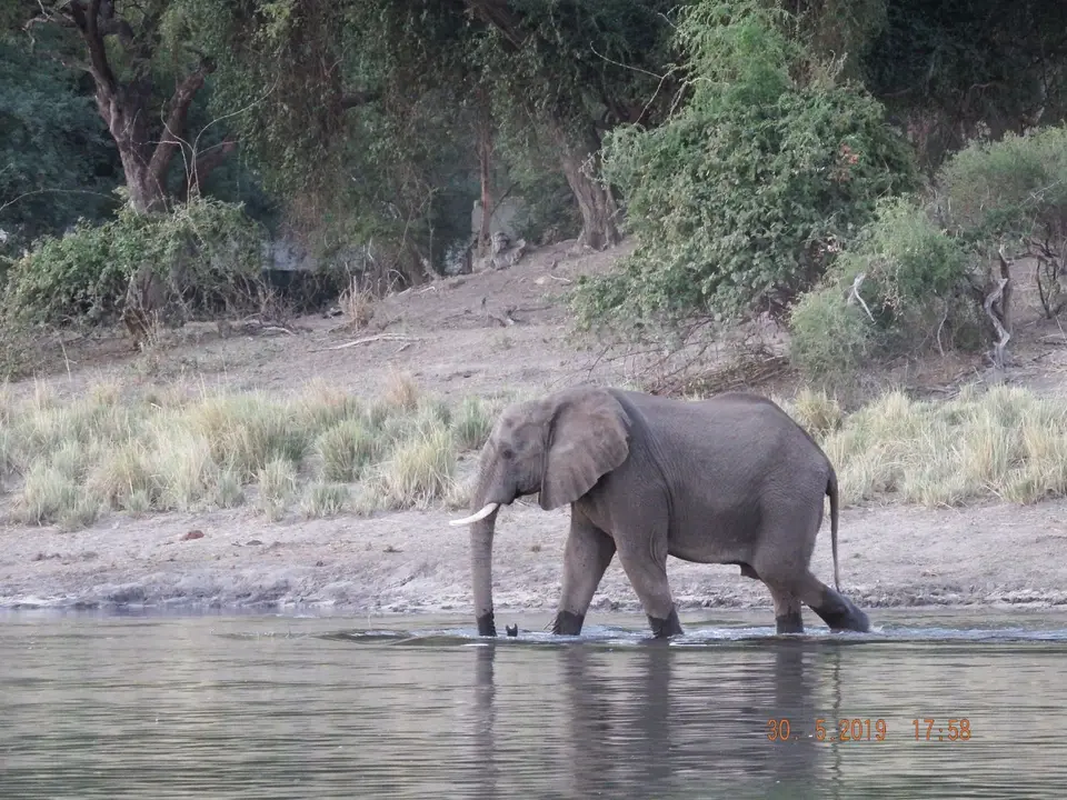 DSCF9057.JPG