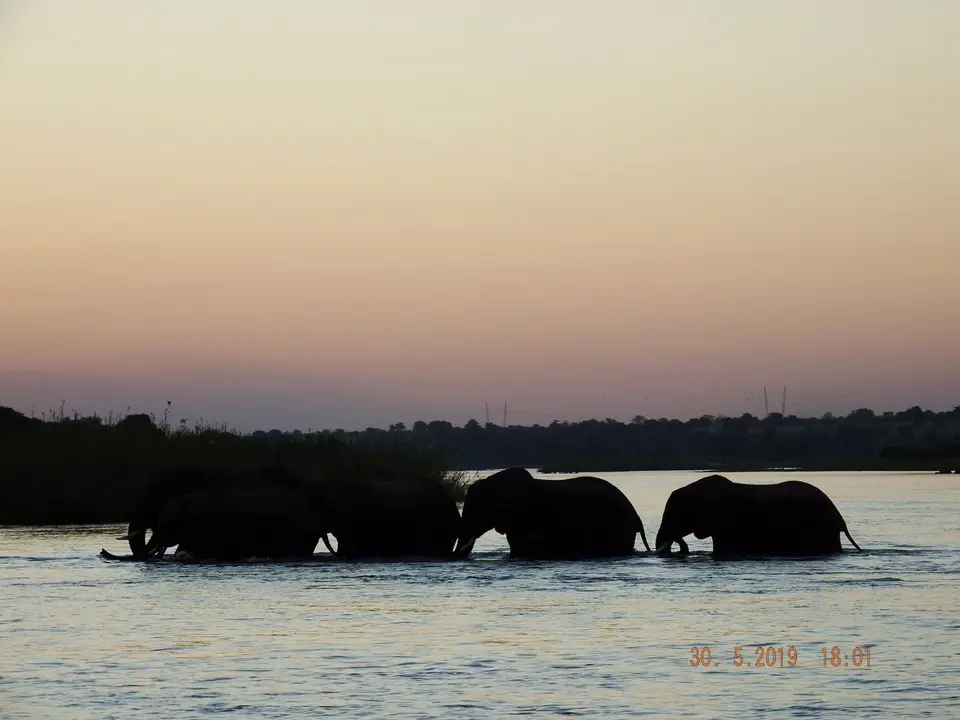 DSCF9078.JPG
